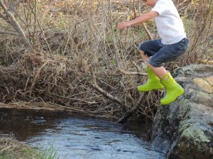 jumping in the stream